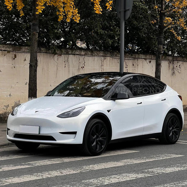 WHITE DRY TPU PPF COLLECTION