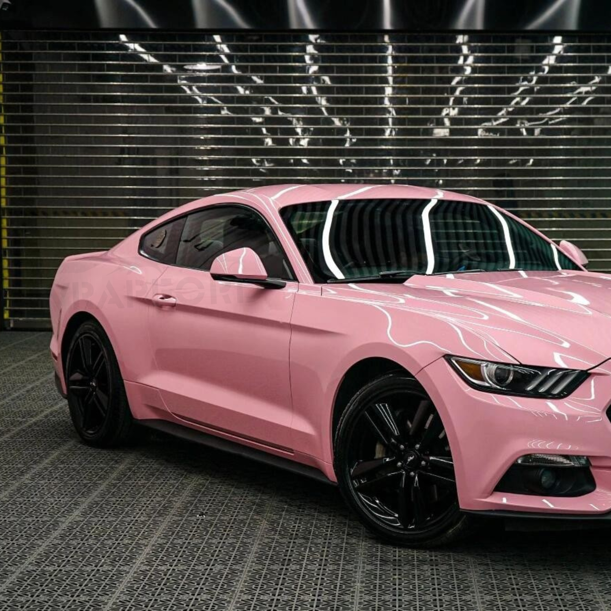 PINK DRY TPU PPF COLLECTION