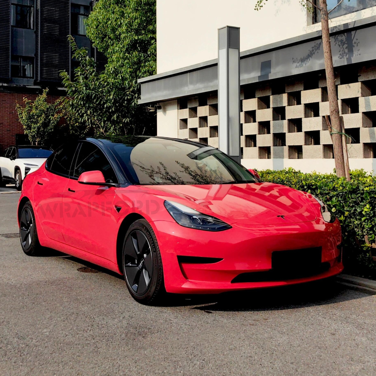 RED DRY TPU PPF COLLECTION