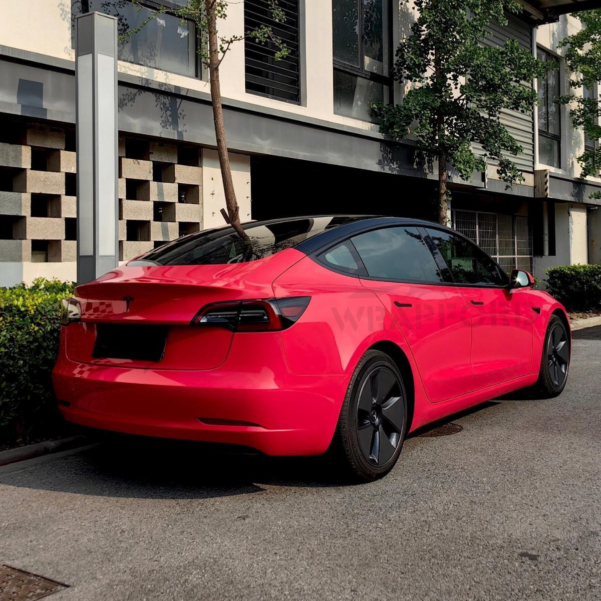 RED DRY TPU PPF COLLECTION