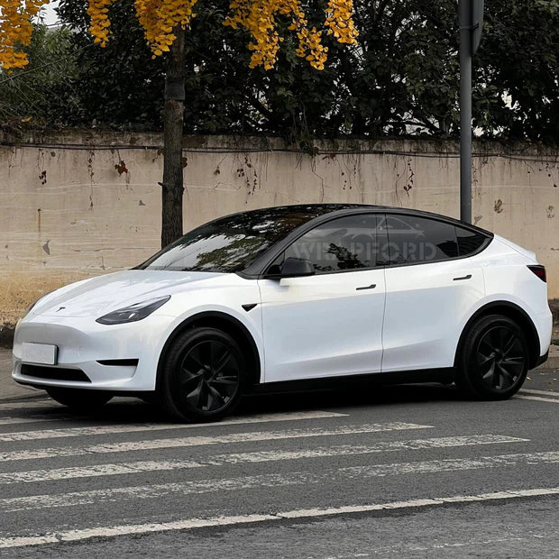 WHITE DRY TPU PPF COLLECTION